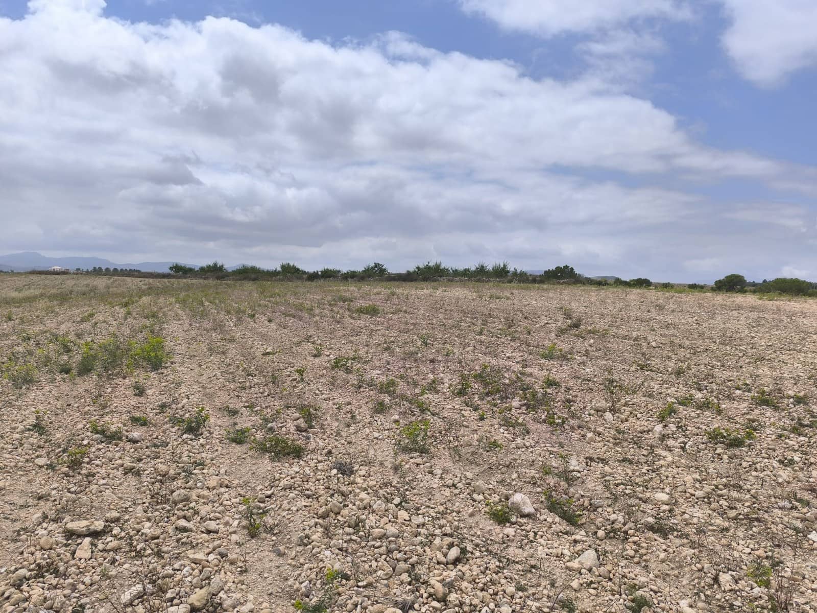 Terreno Não Urbanizado para venda em Pinoso - 99 995 € (Ref: 9902333)