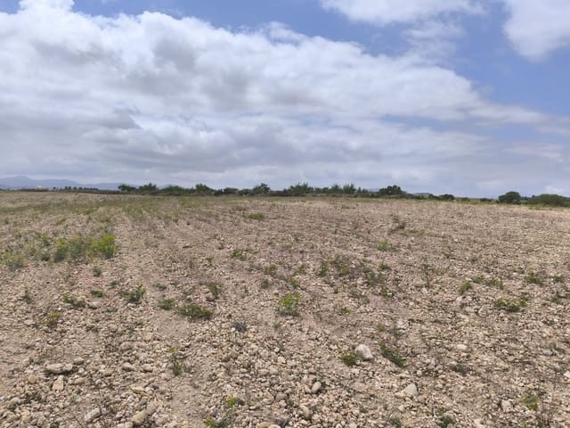 Landgrundstück zu verkaufen in Pinoso - 99.995 € (Ref: 9902333)