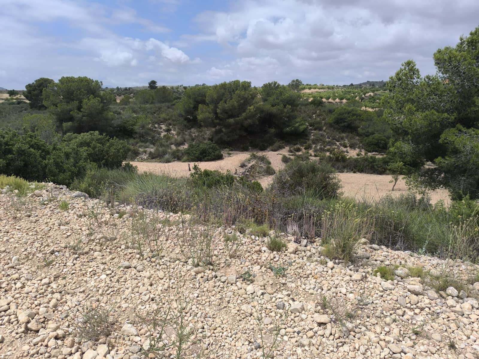 Terreno Não Urbanizado para venda em Pinoso - 99 995 € (Ref: 9902333)