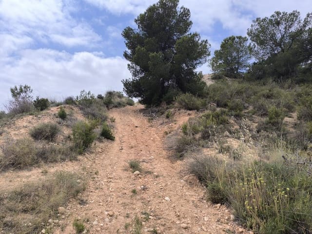 Landgrundstück zu verkaufen in Pinoso - 99.995 € (Ref: 9902333)