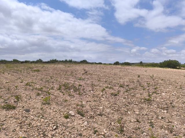 Landgrundstück zu verkaufen in Pinoso - 99.995 € (Ref: 9902333)