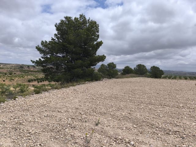 Landgrundstück zu verkaufen in Pinoso - 99.995 € (Ref: 9902333)