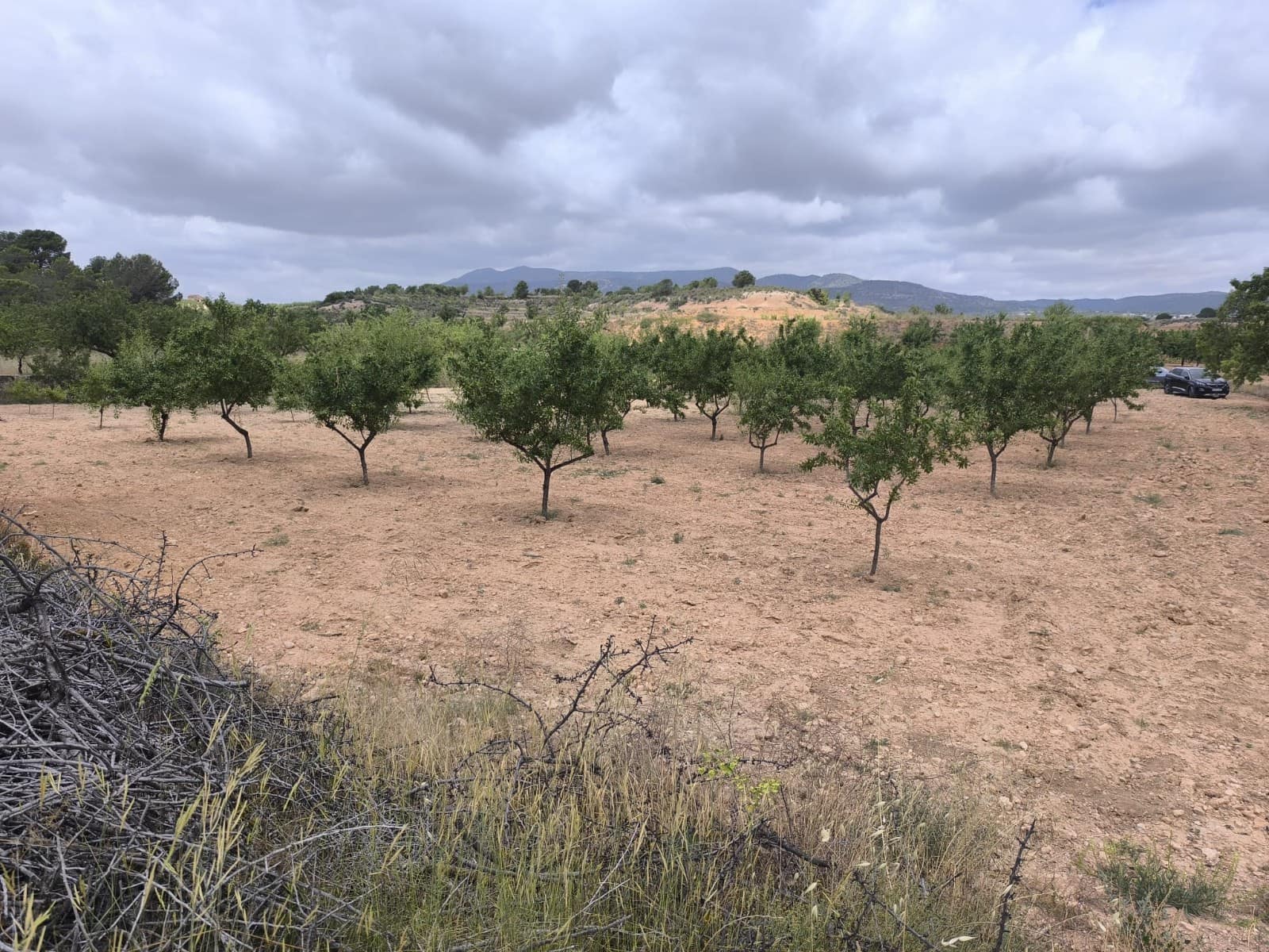 Terreno Não Urbanizado para venda em Pinoso - 99 995 € (Ref: 9902333)