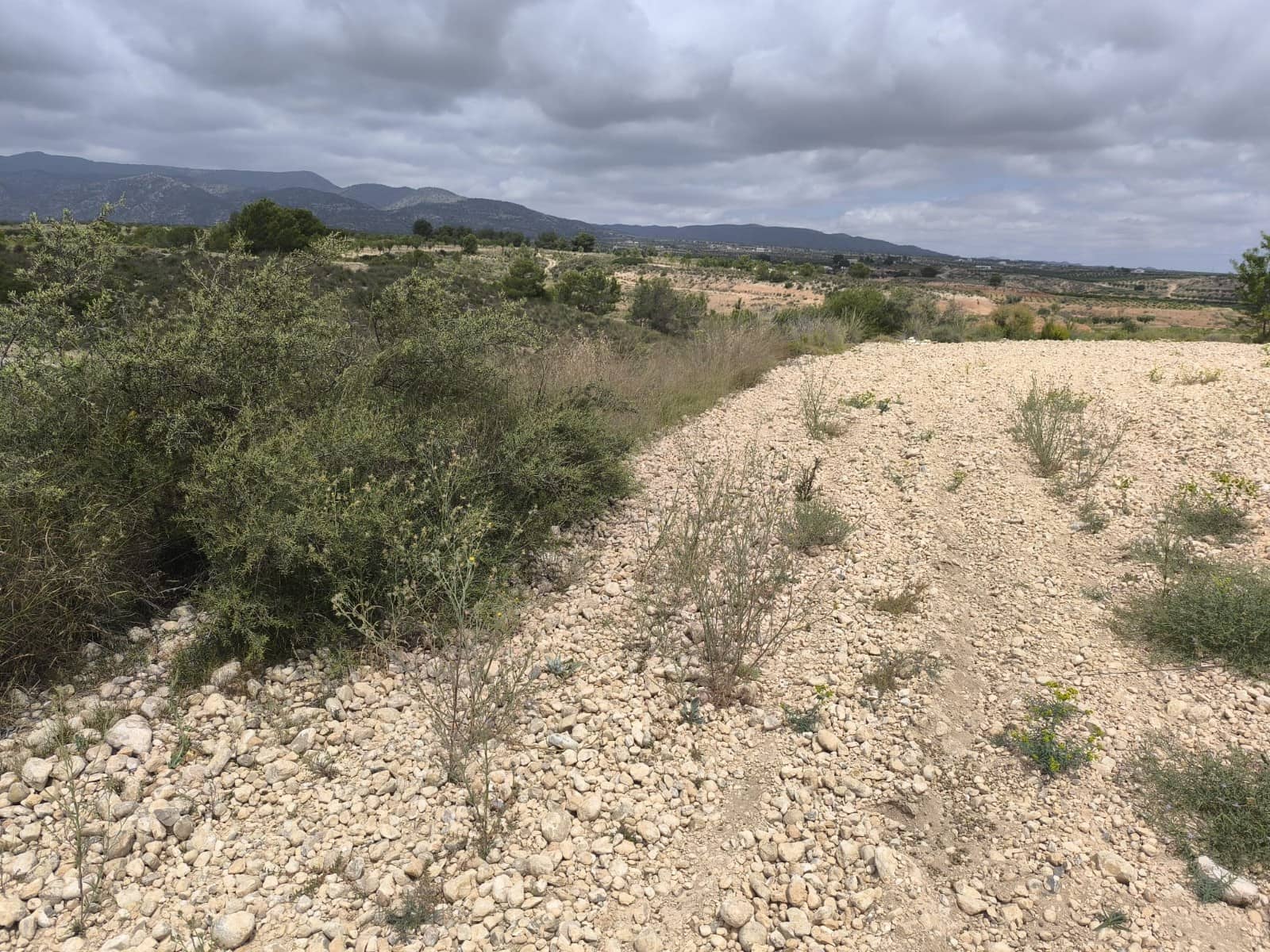 Terreno Não Urbanizado para venda em Pinoso - 99 995 € (Ref: 9902333)
