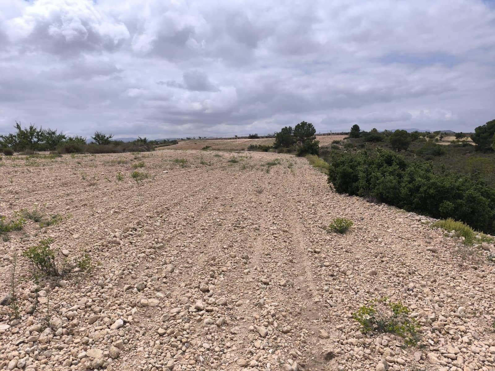Terreno Não Urbanizado para venda em Pinoso - 99 995 € (Ref: 9902333)