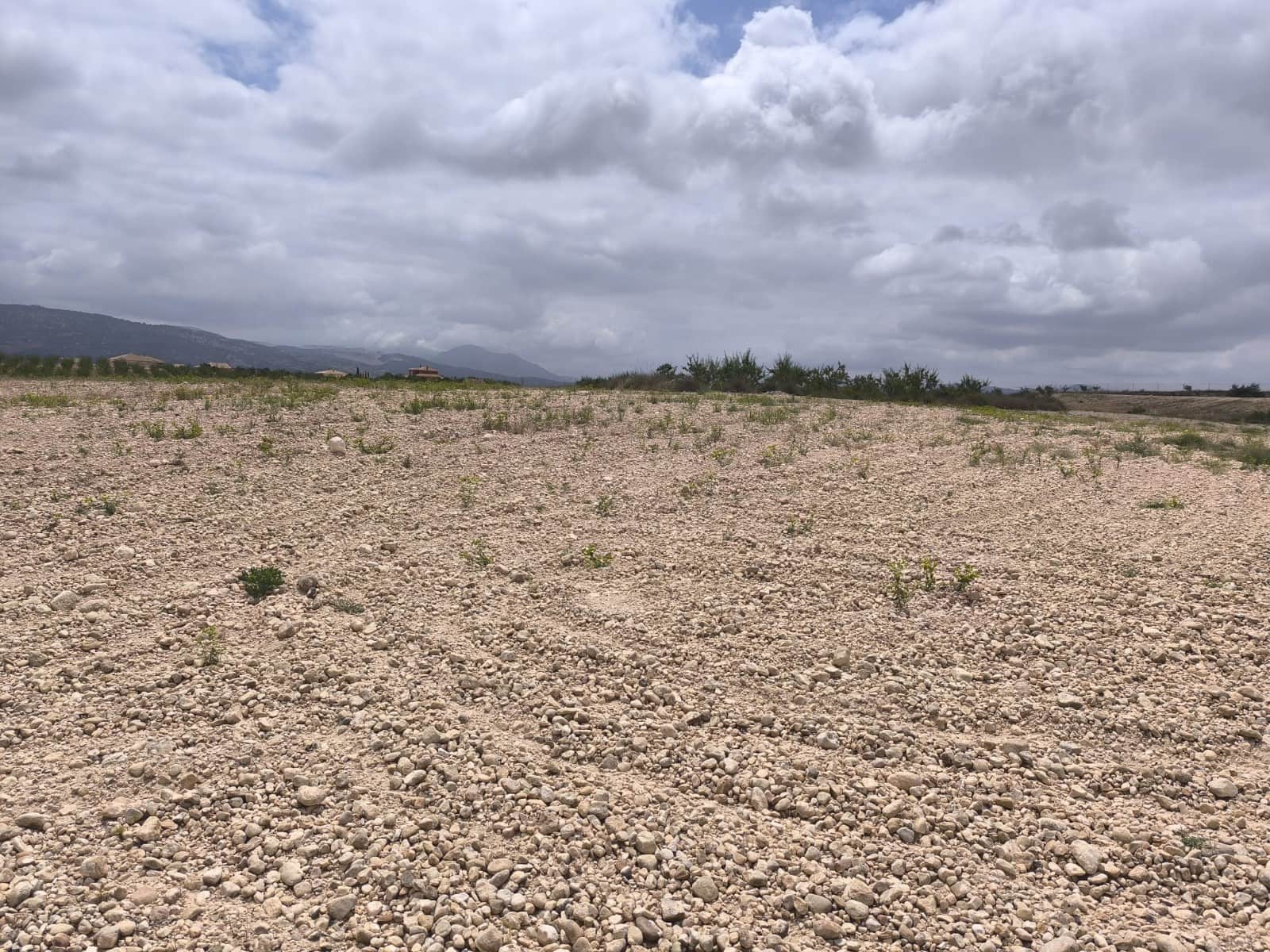 Terreno Não Urbanizado para venda em Pinoso - 99 995 € (Ref: 9902333)