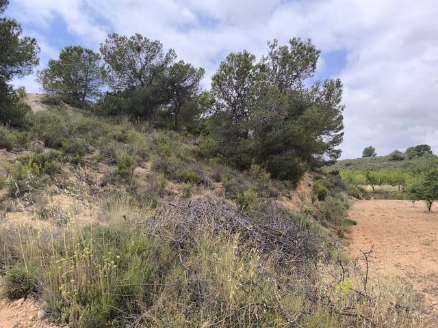 Landgrundstück zu verkaufen in Pinoso - 99.995 € (Ref: 9902333)