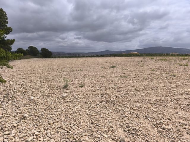Landgrundstück zu verkaufen in Pinoso - 99.995 € (Ref: 9902333)