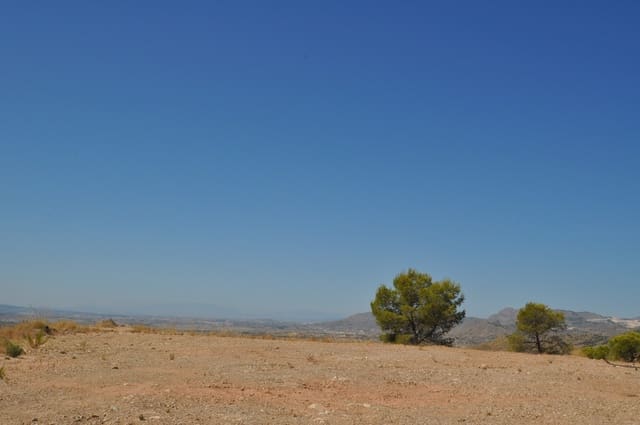Grond te koop in Macisvenda, Abanilla - € 42.000 (Ref: 9911674)