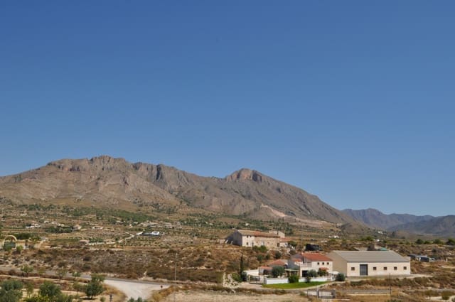 Grond te koop in Macisvenda, Abanilla - € 42.000 (Ref: 9911674)