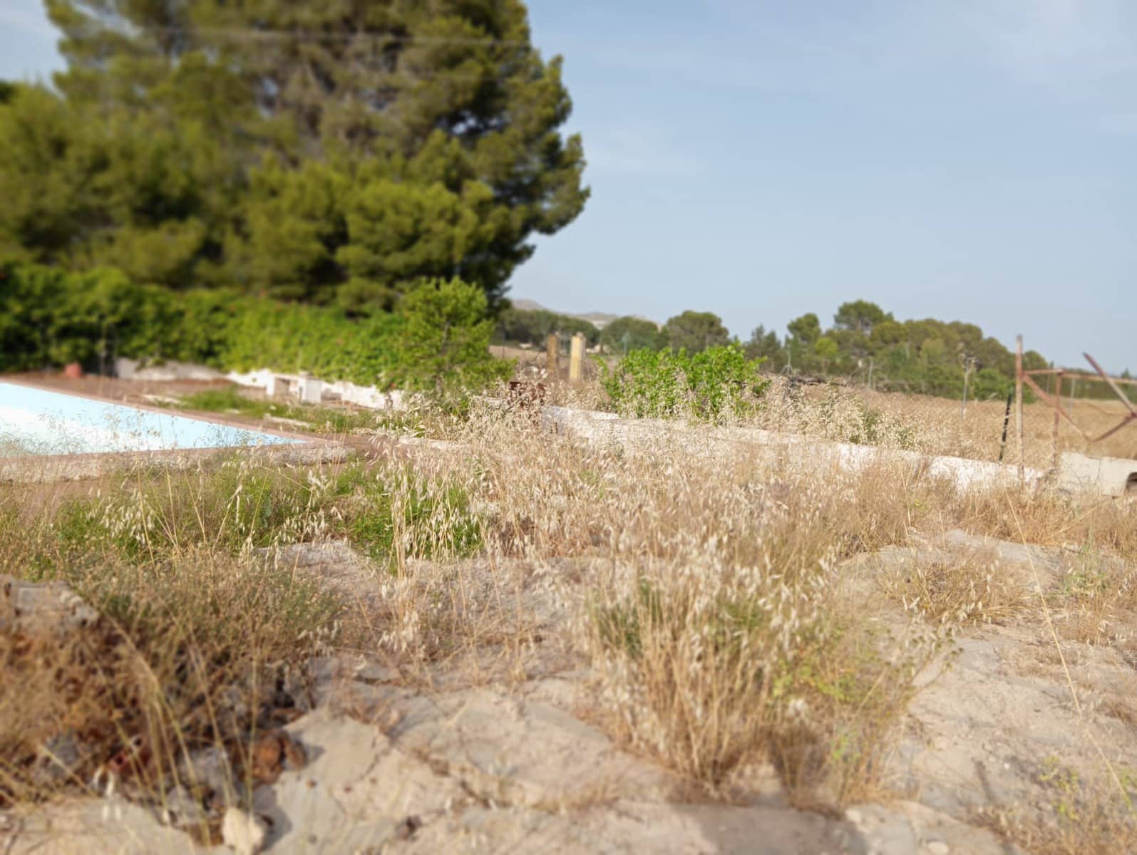 5 bedroom Villa for sale in Yecla with pool - € 180,000 (Ref: 9917617)