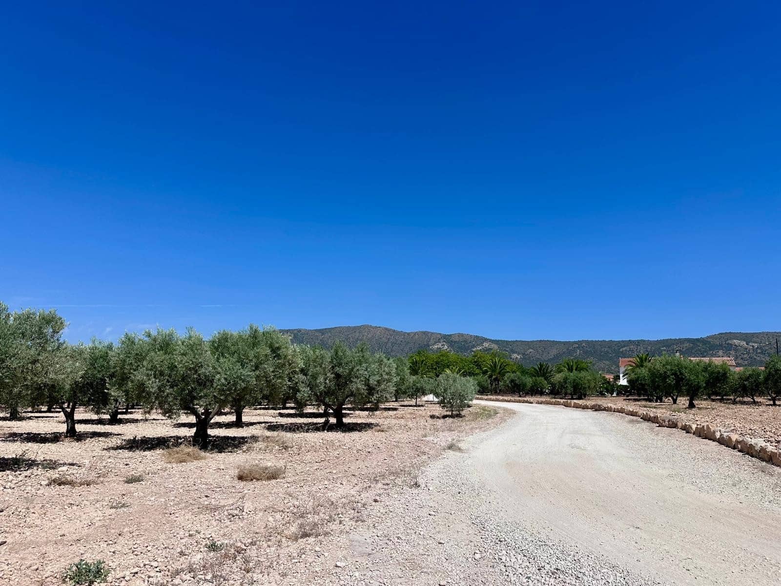 Terreno Não Urbanizado para venda em Monovar / Monover - 79 995 € (Ref: 9922916)