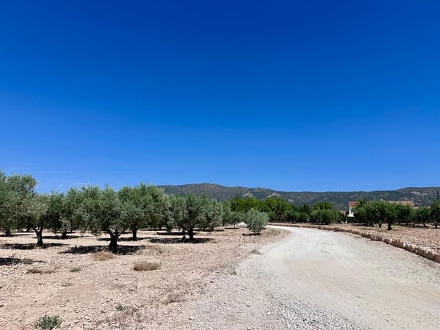 Terreno Não Urbanizado para venda em Monóvar / Monóver - 79 995 € (Ref: 9922916)