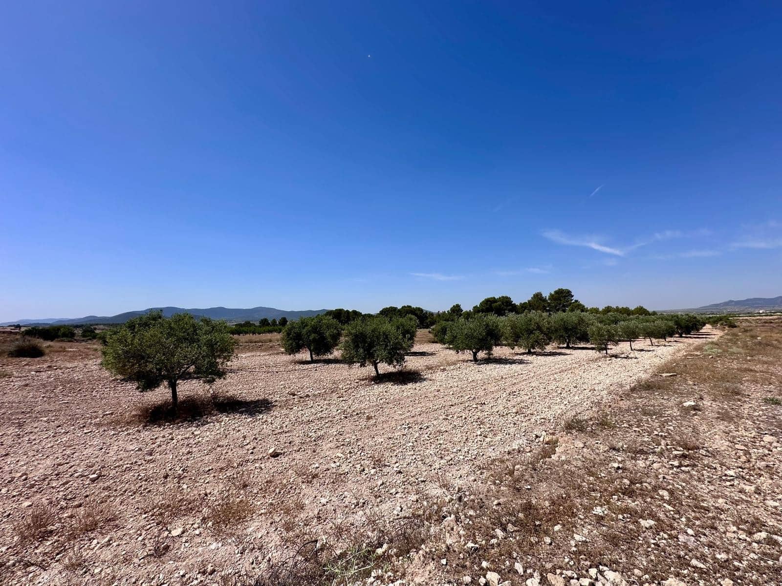 Terreno Não Urbanizado para venda em Monovar / Monover - 79 995 € (Ref: 9922916)