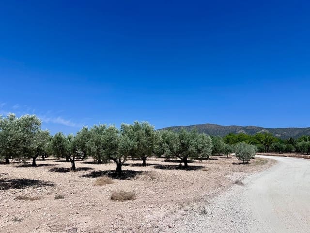 Terreno Não Urbanizado para venda em Monóvar / Monóver - 79 995 € (Ref: 9922916)