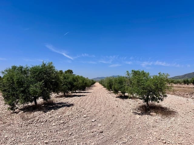 Terreno Não Urbanizado para venda em Monóvar / Monóver - 79 995 € (Ref: 9922916)