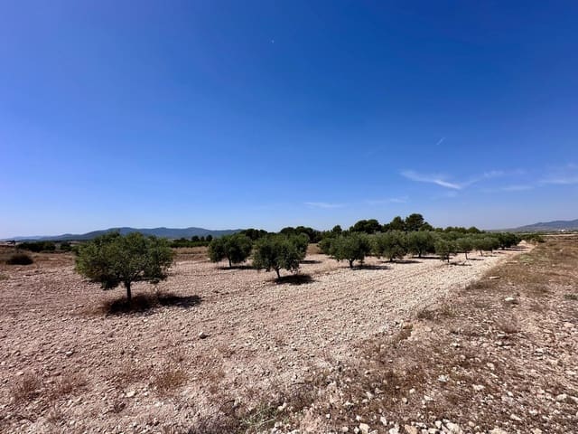 Terreno Não Urbanizado para venda em Monóvar / Monóver - 79 995 € (Ref: 9922916)