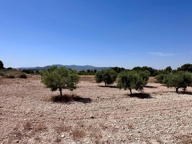 Terreno Não Urbanizado para venda em Monóvar / Monóver - 79 995 € (Ref: 9922916)