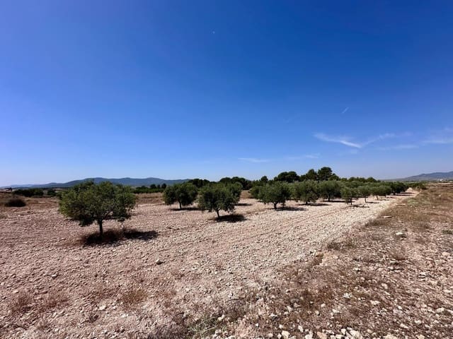 Terre non Aménagée à vendre à Monóvar / Monóver - 79 995 € (Ref: 9922916)