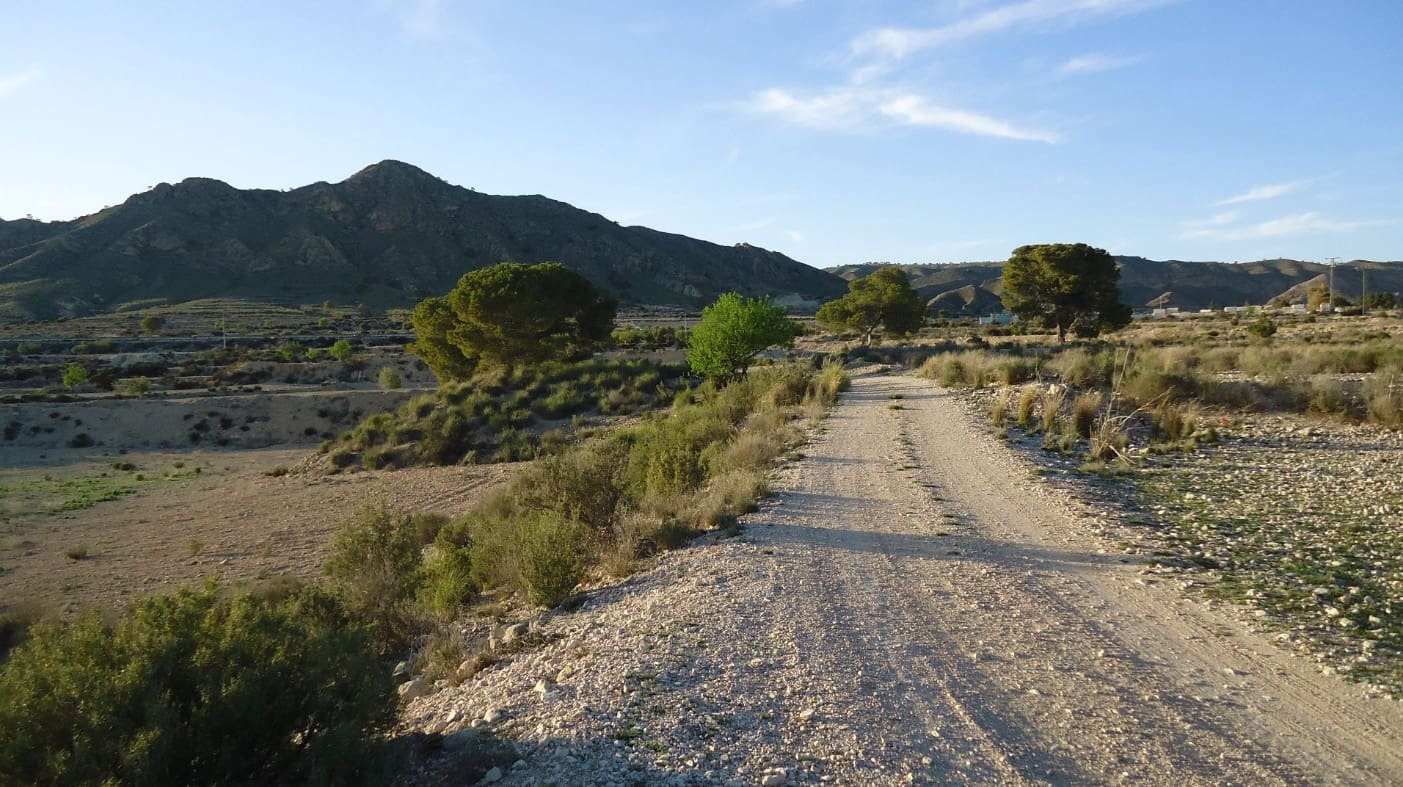 Undeveloped Land for sale in Mahoya - € 29,900 (Ref: 9925214)