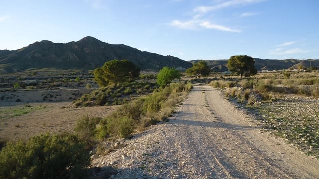 Undeveloped Land for sale in Mahoya, Abanilla - € 29,900 (Ref: 9925214)