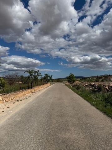 Undeveloped Land for sale in Pinoso - € 42,000 (Ref: 9934916)
