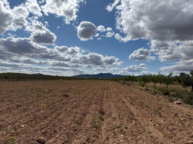 Undeveloped Land for sale in Pinoso - € 42,000 (Ref: 9934916)