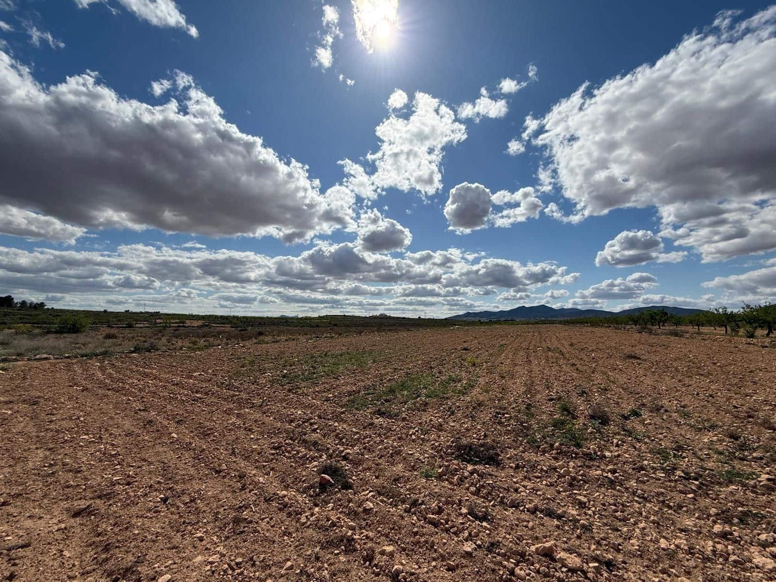 Undeveloped Land for sale in Pinoso - € 42,000 (Ref: 9934916)
