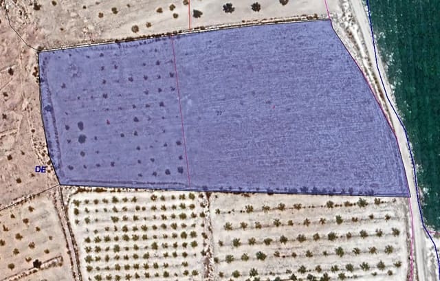 Undeveloped Land for sale in Pinoso - € 30,995 (Ref: 9934917)