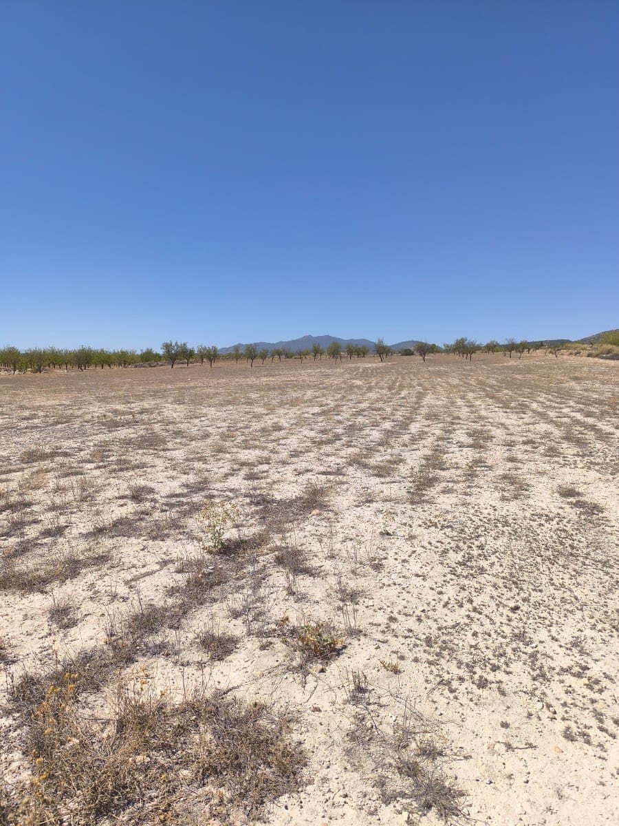 Terreno Non Edificato in vendita in Pinoso - 30.995 € (Rif: 9934917)