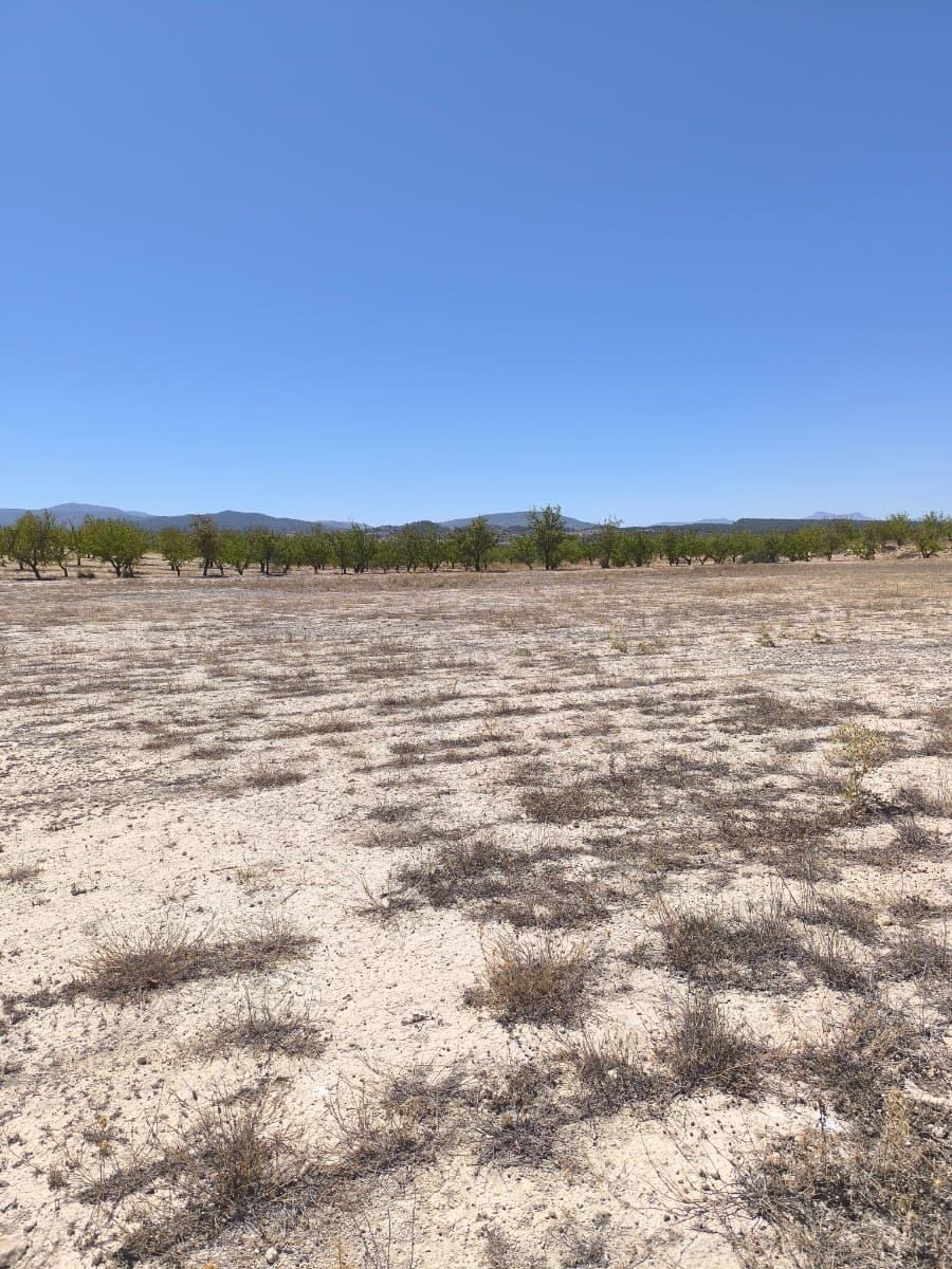 Terreno Non Edificato in vendita in Pinoso - 30.995 € (Rif: 9934917)