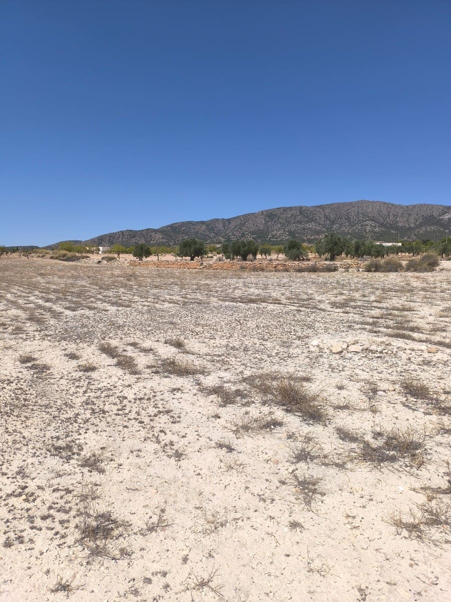Terreno Non Edificato in vendita in Pinoso - 30.995 € (Rif: 9934917)