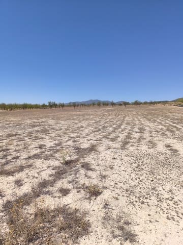Undeveloped Land for sale in Pinoso - € 30,995 (Ref: 9934917)