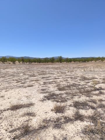 Undeveloped Land for sale in Pinoso - € 30,995 (Ref: 9934917)