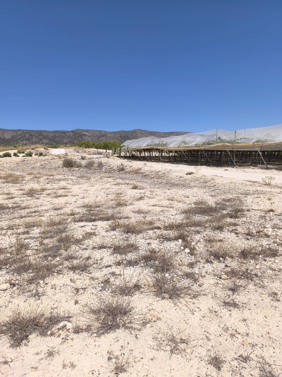 Terreno Non Edificato in vendita in Pinoso - 30.995 € (Rif: 9934917)
