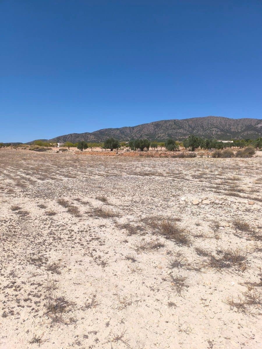 Undeveloped Land for sale in Pinoso - € 30,995 (Ref: 9934917)