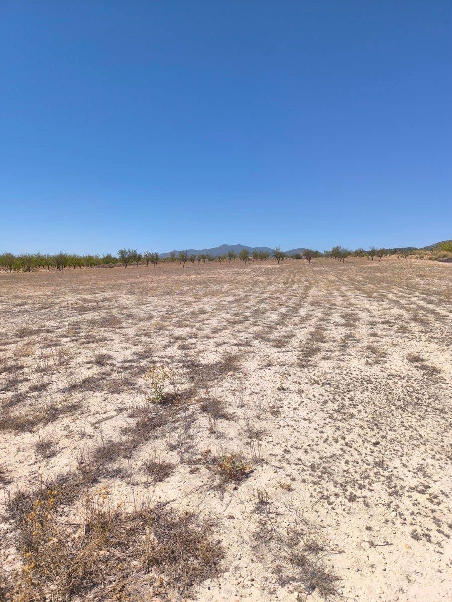Undeveloped Land for sale in Pinoso - € 30,995 (Ref: 9934917)