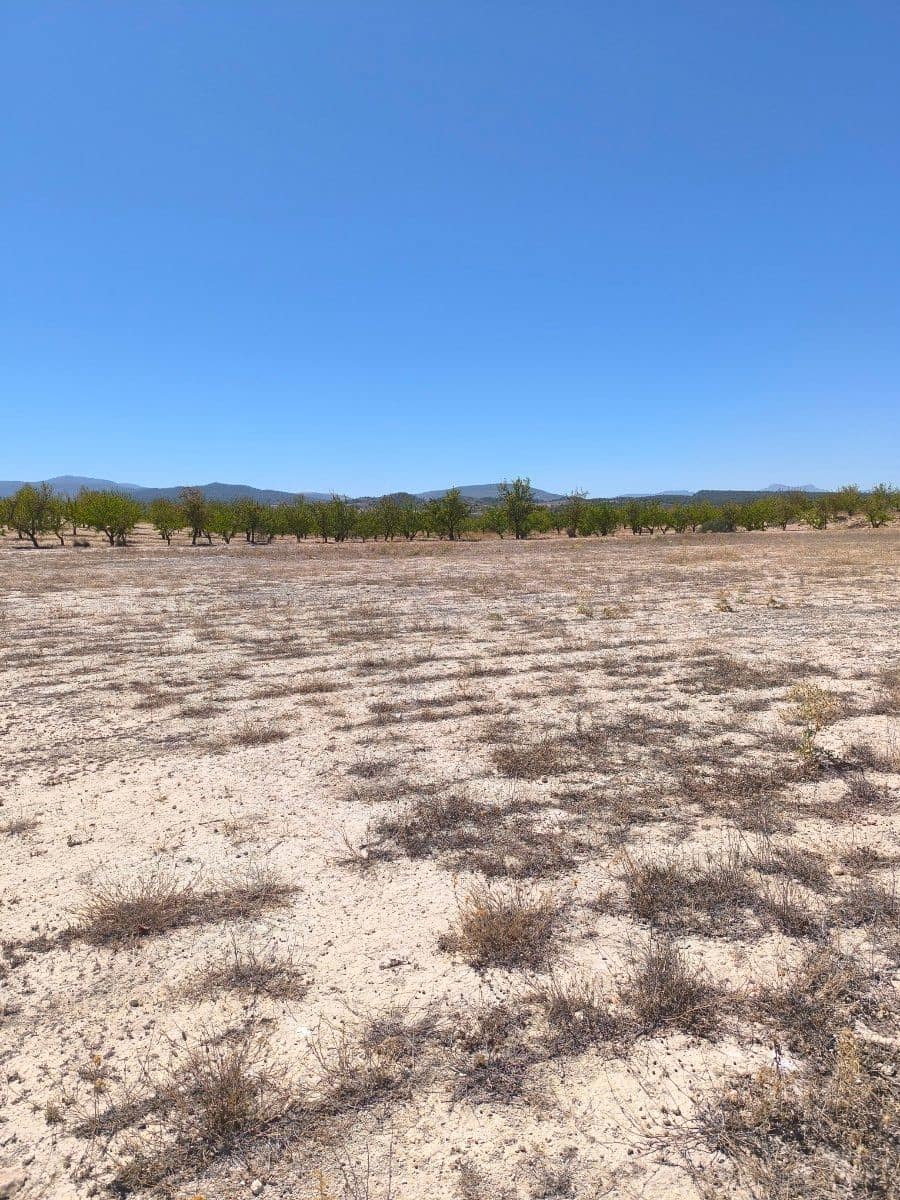 Undeveloped Land for sale in Pinoso - € 30,995 (Ref: 9934917)