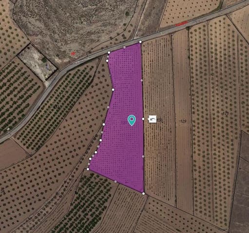Ubebygd land til salgs i Pinoso - € 32 995 (Ref: 9935280)