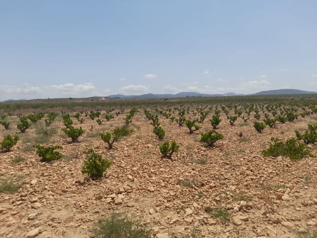 Ubebygd land til salgs i Pinoso - € 32 995 (Ref: 9935280)