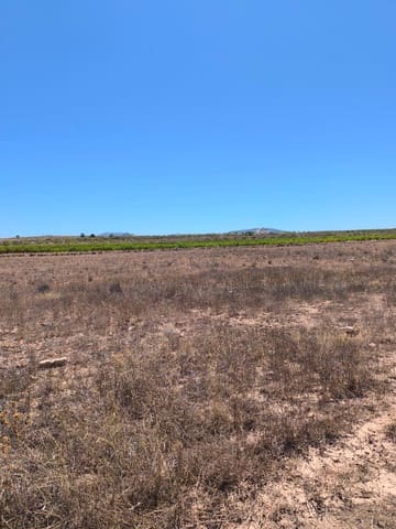 Ubebygd land til salgs i Lel, Pinoso - € 34 995 (Ref: 9936823)