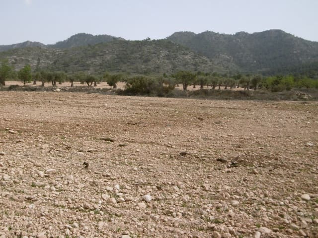 Ubebygd land til salgs i Yecla - € 12 000 (Ref: 9946821)