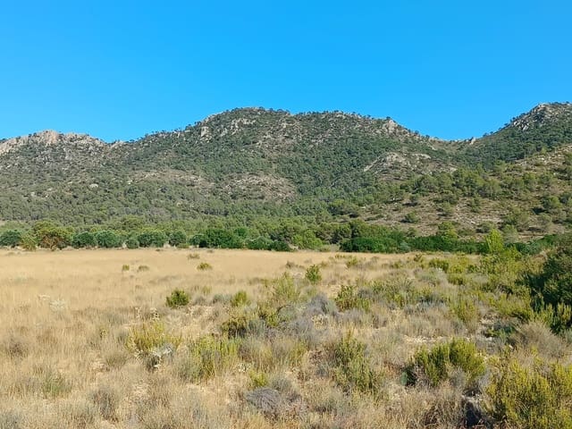 Ubebygd land til salgs i Yecla - € 12 000 (Ref: 9946821)