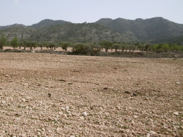 Terreno Non Edificato in vendita in Yecla - 12.000 € (Rif: 9946821)