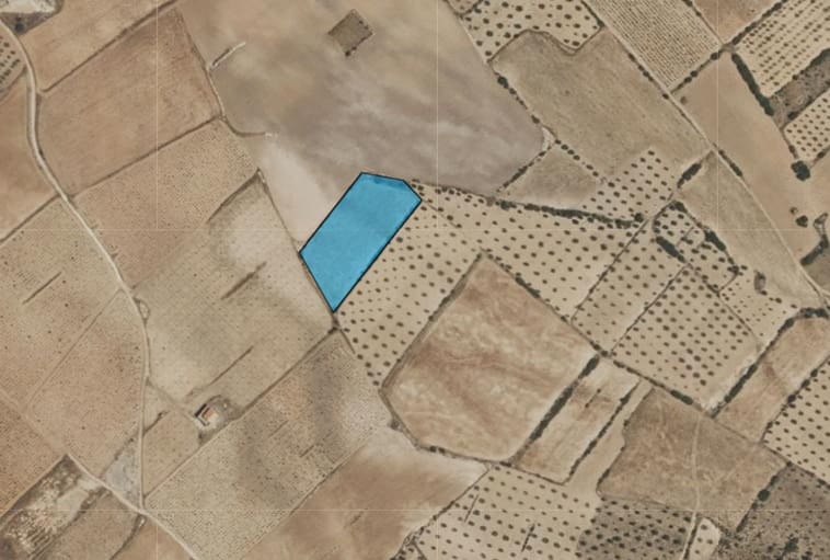Terreno Não Urbanizado para venda em Yecla - 12 000 € (Ref: 9946822)