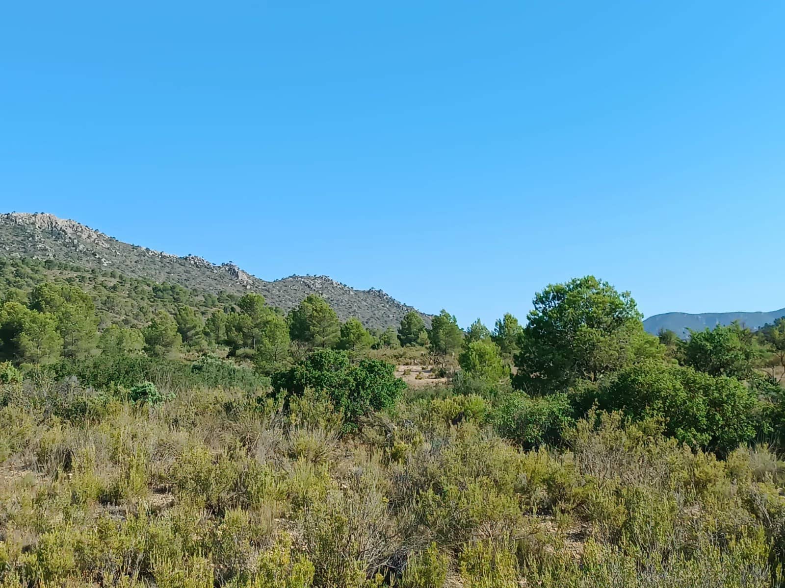 Terreno Não Urbanizado para venda em Yecla - 12 000 € (Ref: 9946822)