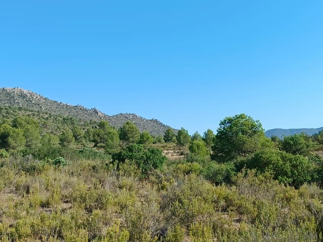 Ubebygd land til salgs i Yecla - € 12 000 (Ref: 9946822)