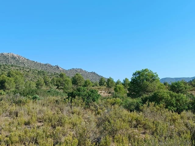 Terreno Non Edificato in vendita in Yecla - 12.000 € (Rif: 9946822)