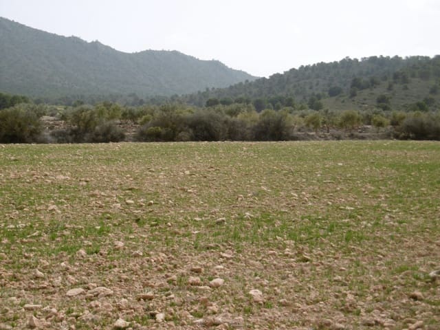 Ubebygd land til salgs i Yecla - € 13 000 (Ref: 9946823)