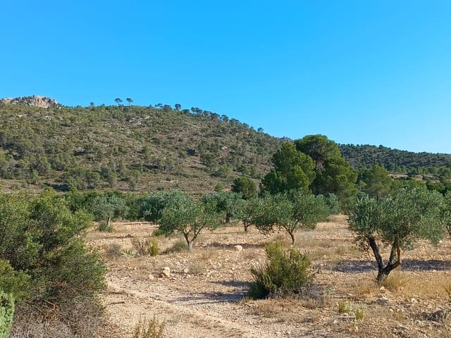 Ubebygd land til salgs i Yecla - € 13 000 (Ref: 9946823)